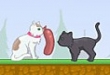 Kedi ve Köpek Takımı